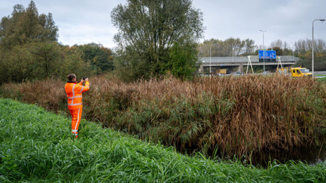 Tetra Tech-medewerker legt natuur vast langs snelweg: ecologisch onderzoek tussen asfalt en water voor duurzame leefomgeving