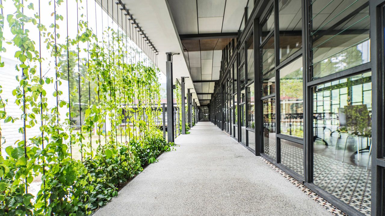Overdekte doorgang met groene gevel en glazen wand, illustratief voor duurzame gebouwinrichting en energiebesparingsmaatregelen