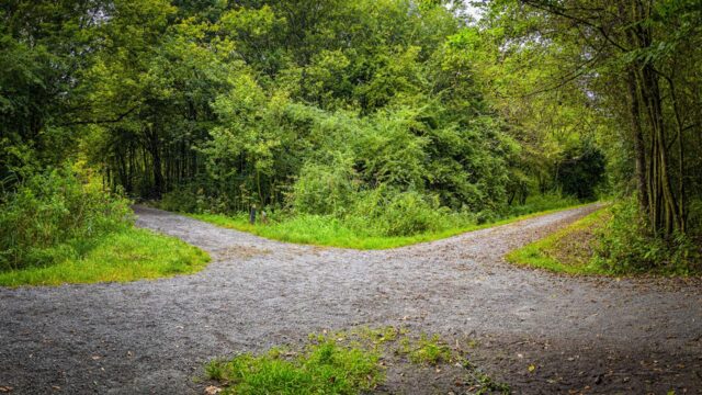 Groene buitenomgeving met een wandelpad