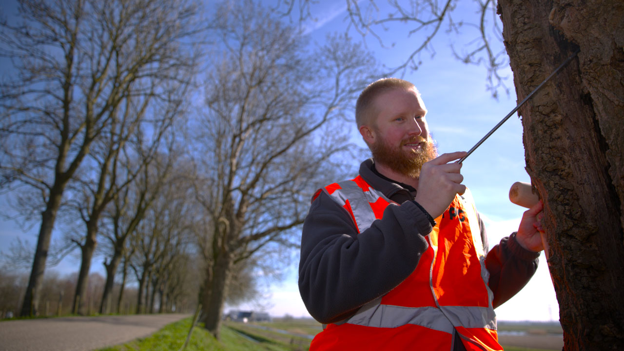 Ecologisch veldonderzoeker in oranje veiligheidsvest markeert boom langs weg – monitoring van flora en fauna in stedelijke en landelijke gebieden door Tetra Tech