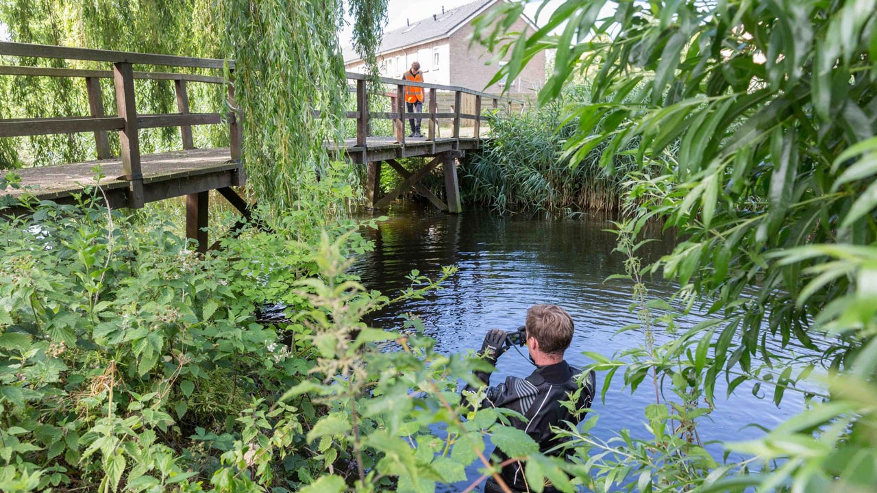 Inspecteur in wetsuit voert visuele inspectie uit in water onder houten brug, collega observeert vanaf de brug