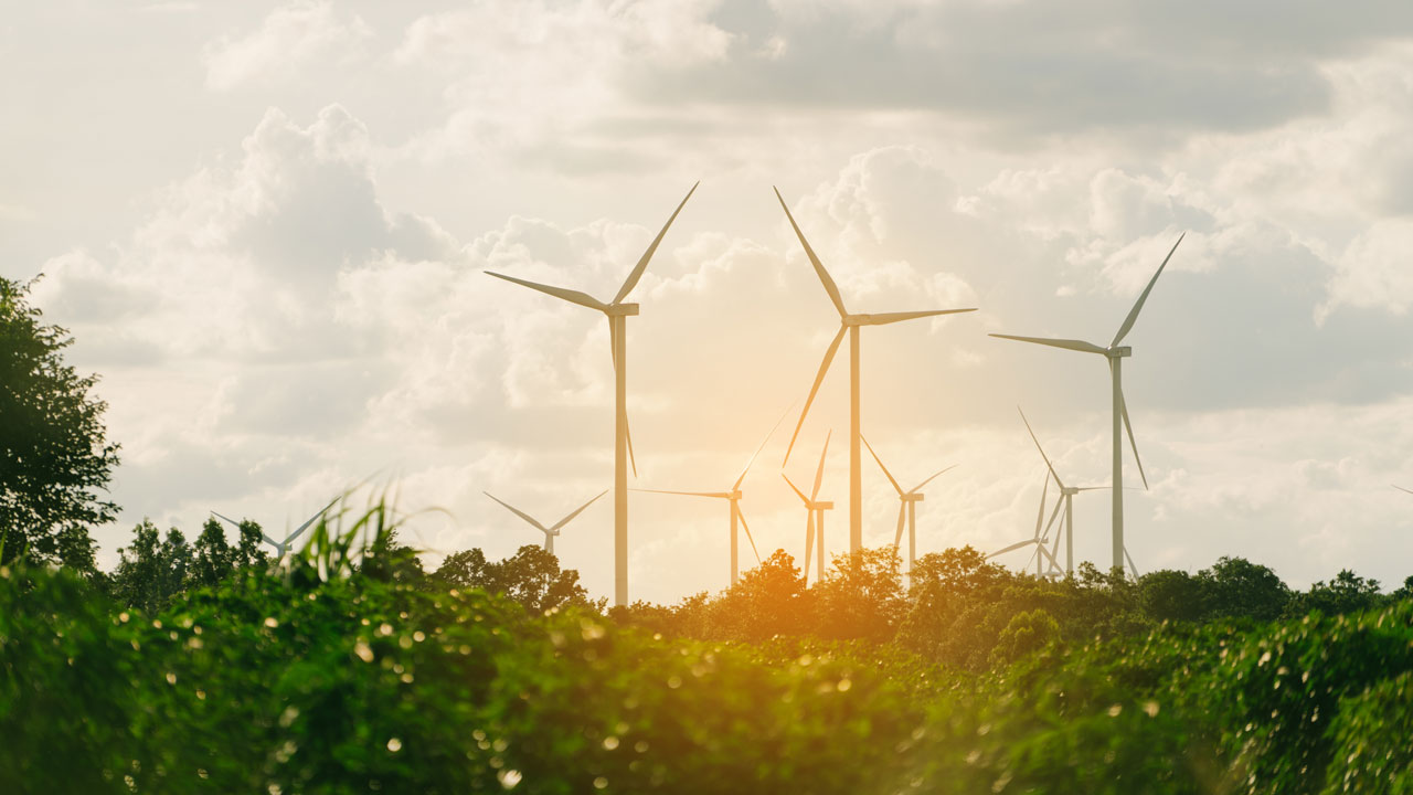 Windmolenpark bij zonsondergang in groene omgeving