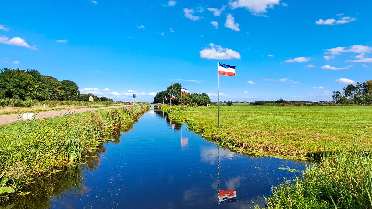 Landschap met sloot, graslanden en Nederlandse vlag – biodiversiteit als basis voor een veerkrachtige en natuurinclusieve leefomgeving