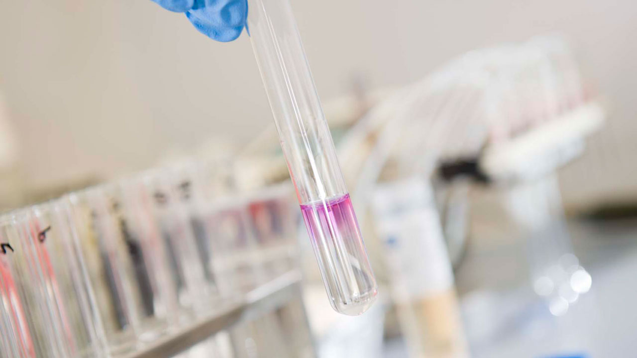 Gehandschoende hand houdt een reageerbuis met heldere vloeistof en roze-paarse substantie; op de achtergrond staan meer buizen in een rek