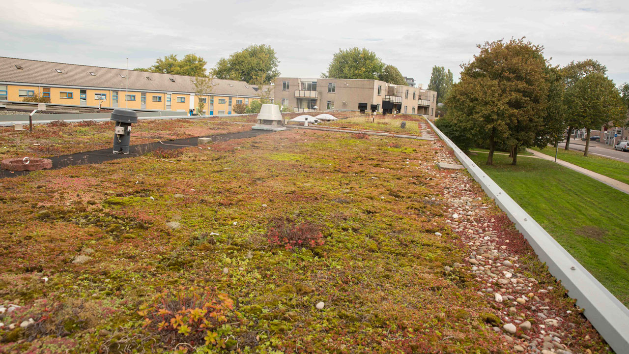 Groen dak met diverse beplanting en ventilatiestructuren in stedelijke omgeving, onderdeel van onderzoek naar effect op hemelwaterafvoer door gemeente Utrecht
