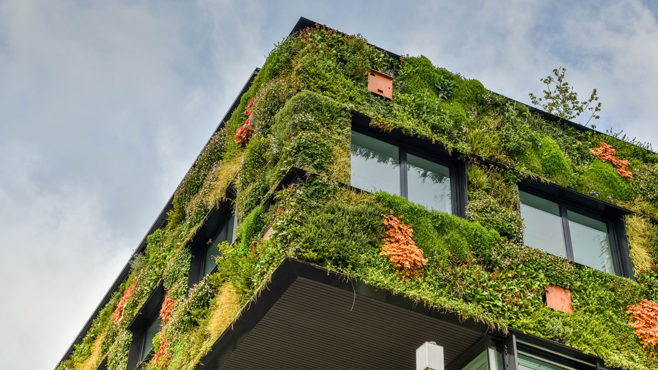 Duurzaam schoolgebouw met groenvoorziening