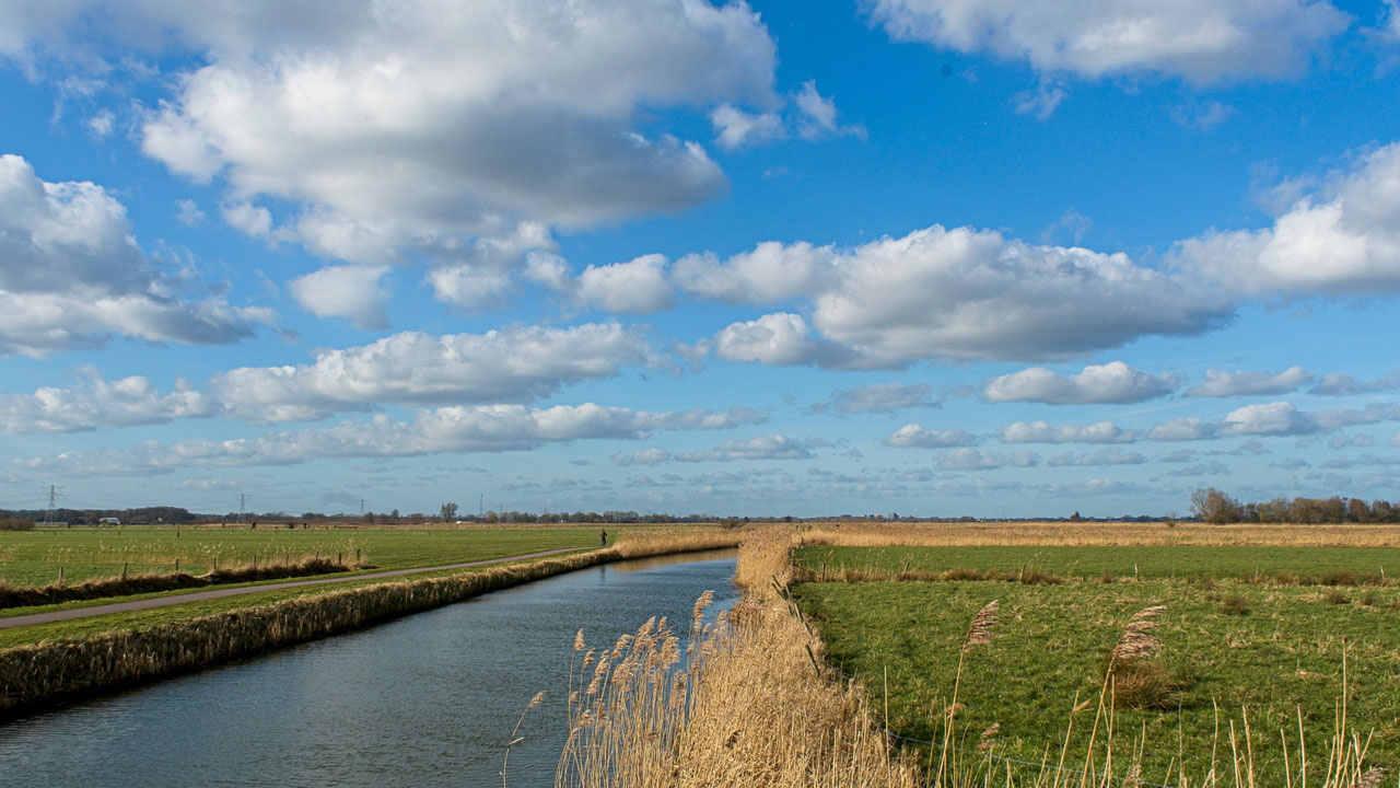 Landschap met kanaal en riet in het Binnenveld, waar studenten meewerken aan natuurherstelproject onder begeleiding van Tetra Tech