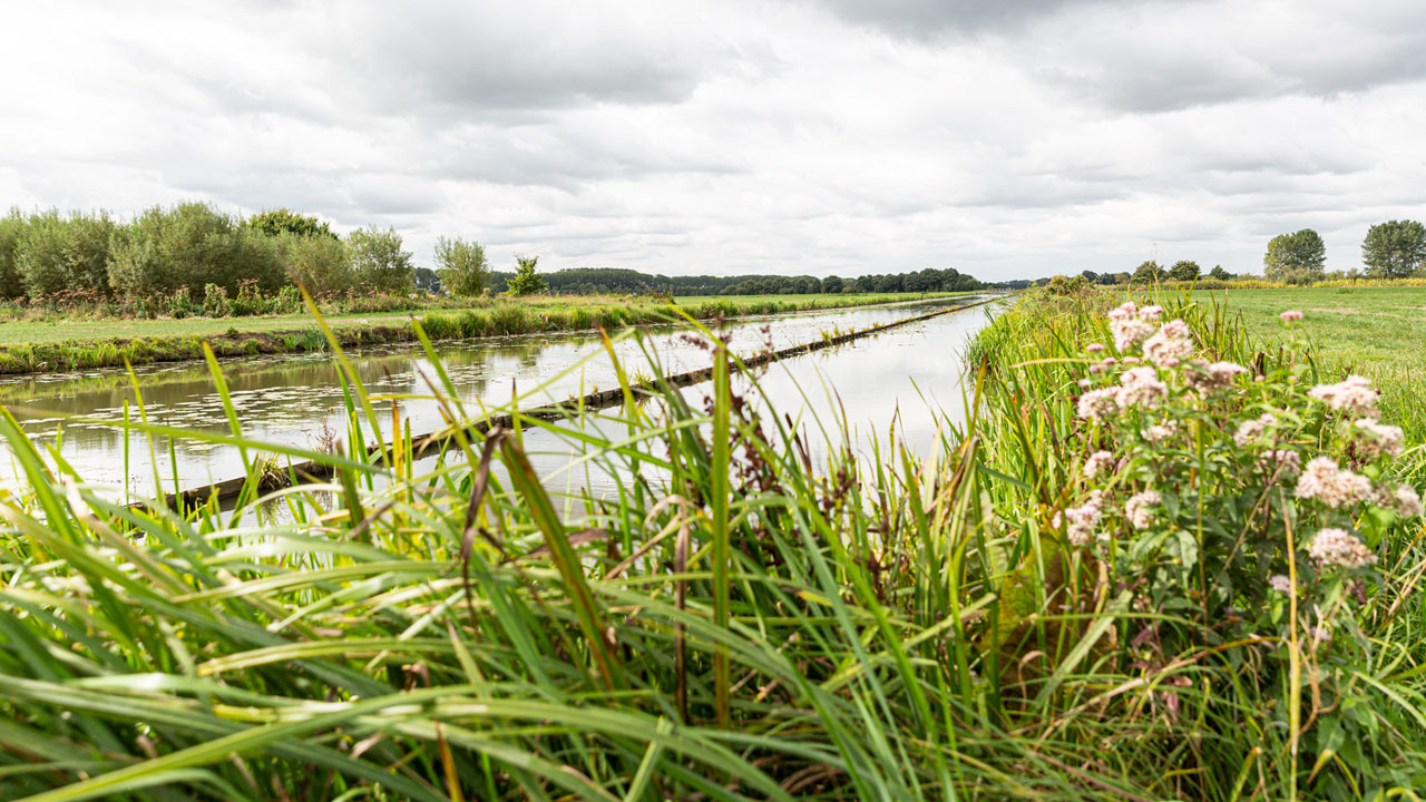 Watergang met bloemrijke oever en begroeiing, voorbeeld van geschikte locatie voor aanleg natuurvriendelijke oevers in het landschap