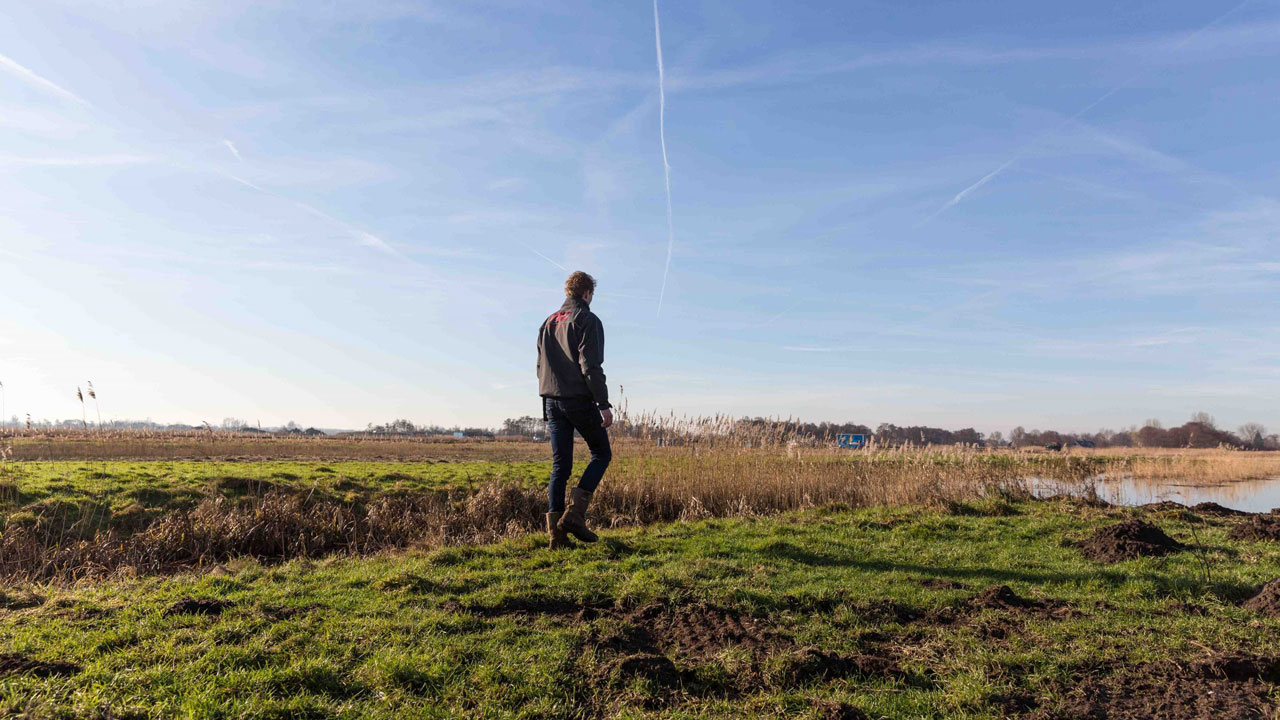 Persoon loopt door grasland langs water en riet, illustratie van veldwerk en natuurbeheer in de Oostelijke Vechtplassen
