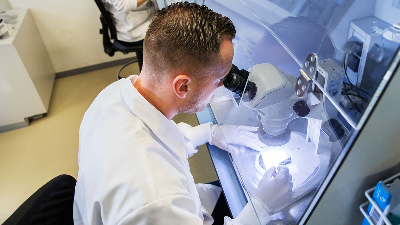 Laboratoriummedewerker onderzoekt asbestmonsters onder microscoop in laminar flow-kast