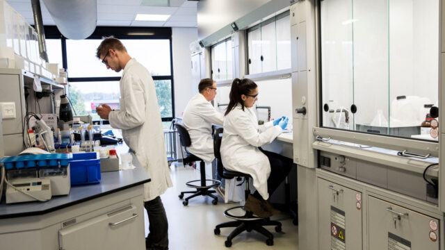 Laboratoriummedewerkers voeren chemische analyses uit onder afzuigkasten in een goed uitgeruste onderzoeksruimte