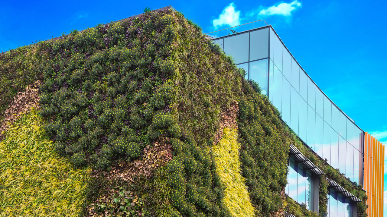 Modern gebouw met groene gevel vol planten en grote glazen ramen; op de achtergrond een heldere blauwe lucht