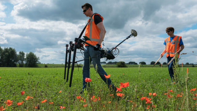 Inspecteurs met detectieapparatuur lopen door veld met rode bloemen, op zoek naar ontplofbare oorlogsresten