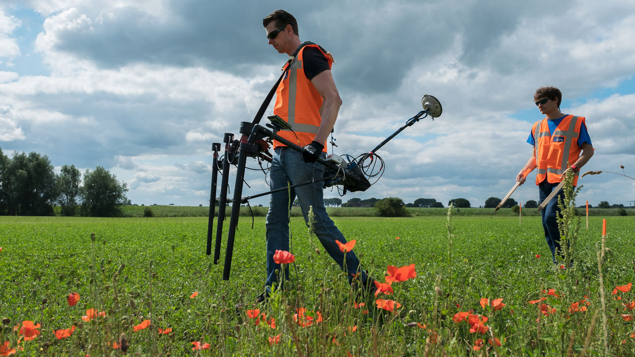 Inspecteurs met detectieapparatuur lopen door veld met rode bloemen, op zoek naar ontplofbare oorlogsresten