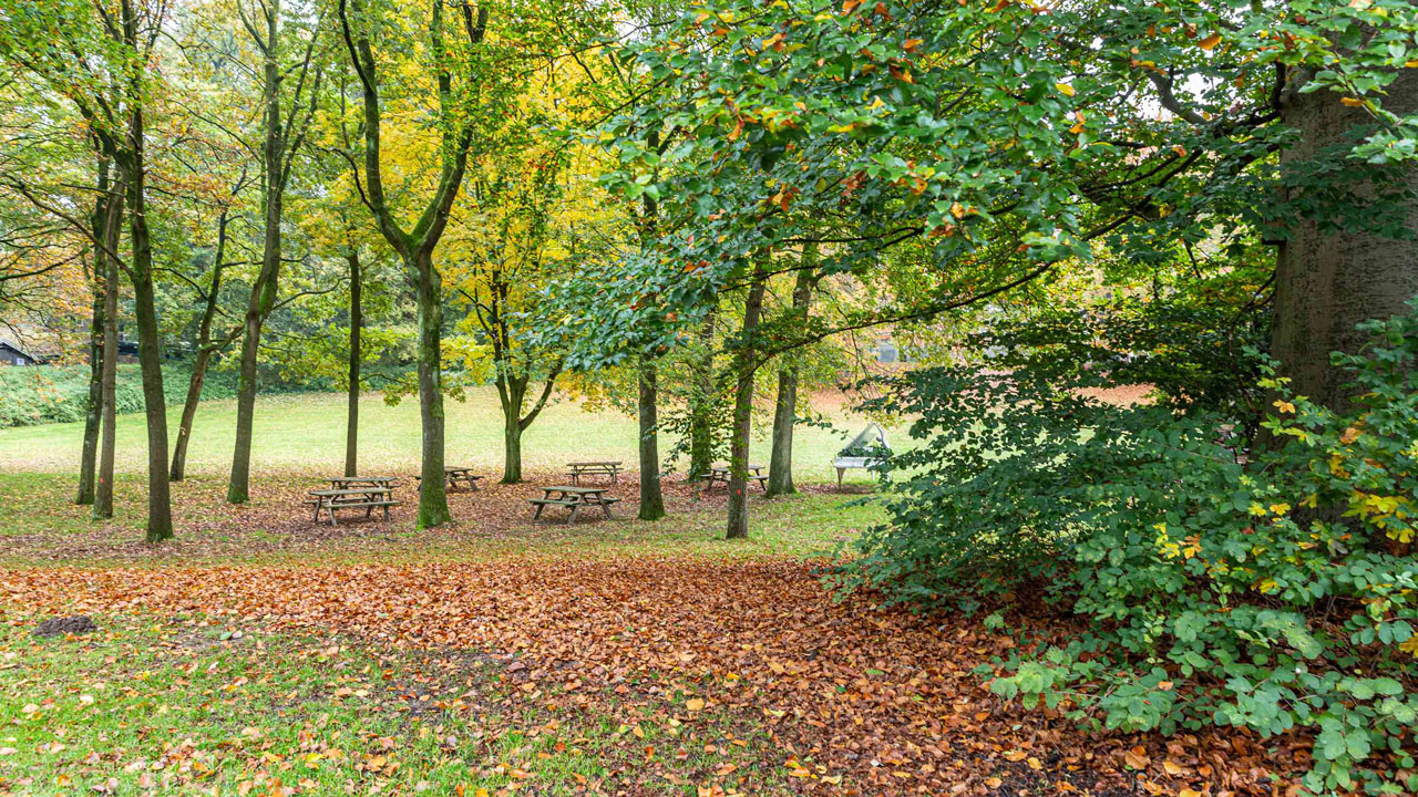 Groene buitenruimte Arnhems Buiten met picknicktafels tussen herfstbladeren, onderdeel van duurzaam energielabel C-project