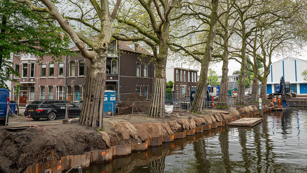 Kadeversterking aan Hooikade met beschermde bomen en bouwactiviteiten; Tetra Tech combineert slimme oplossingen met behoud van historisch groen