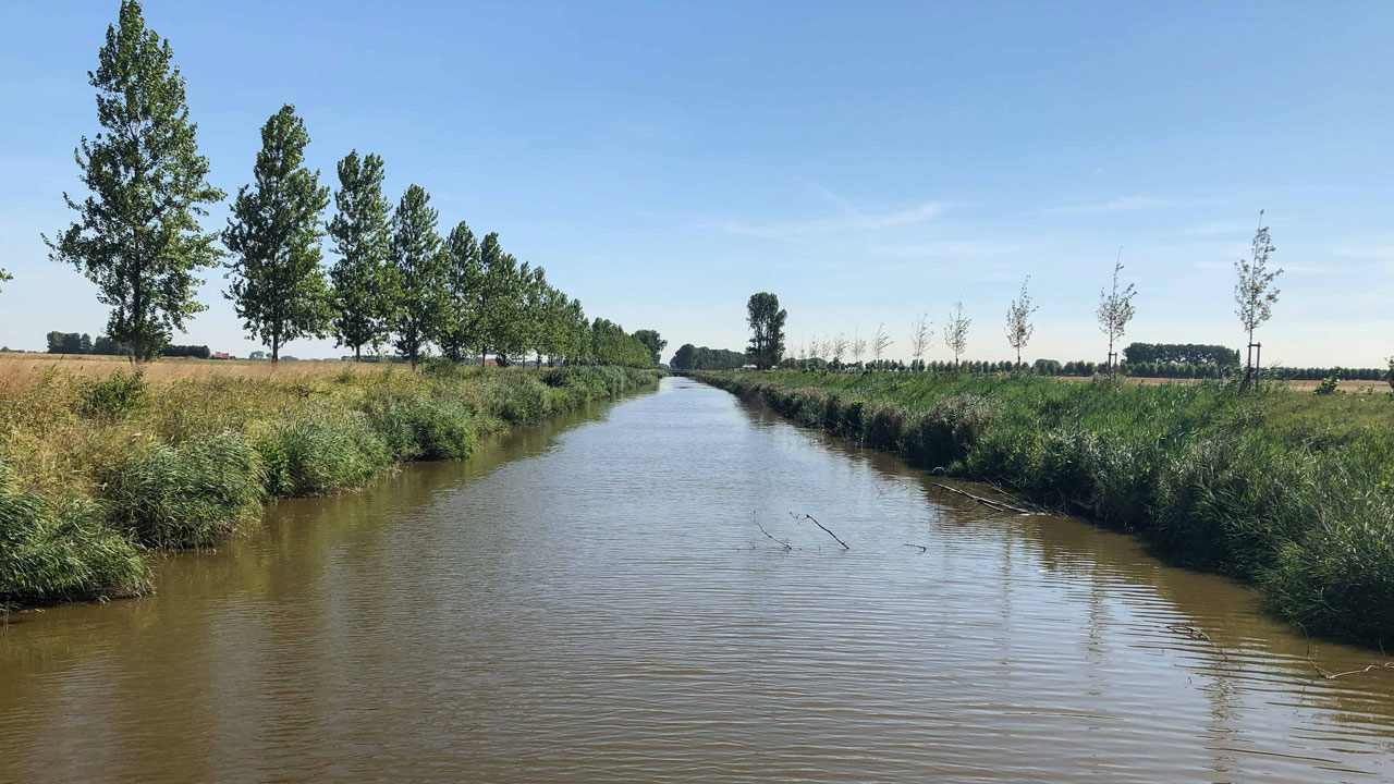 Uitwateringskanaal Zeeuws-Vlaanderen met grasoevers en bomenrijen, onderdeel van waterbeheerproject