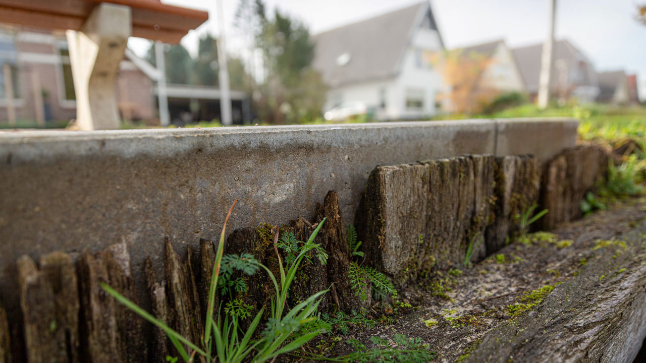 Groenstrook met houten vlonders en beplanting in woonwijk, onderdeel van duurzaam waterbeheer en onderhoud door Waterschap Vechtstromen