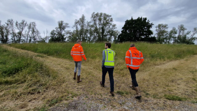 Verkenning bij dijk ter behoeve van een dijkversterking