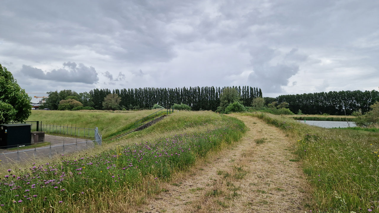 Buitengebied bij de dijk van Waterschap Brabantse Delta