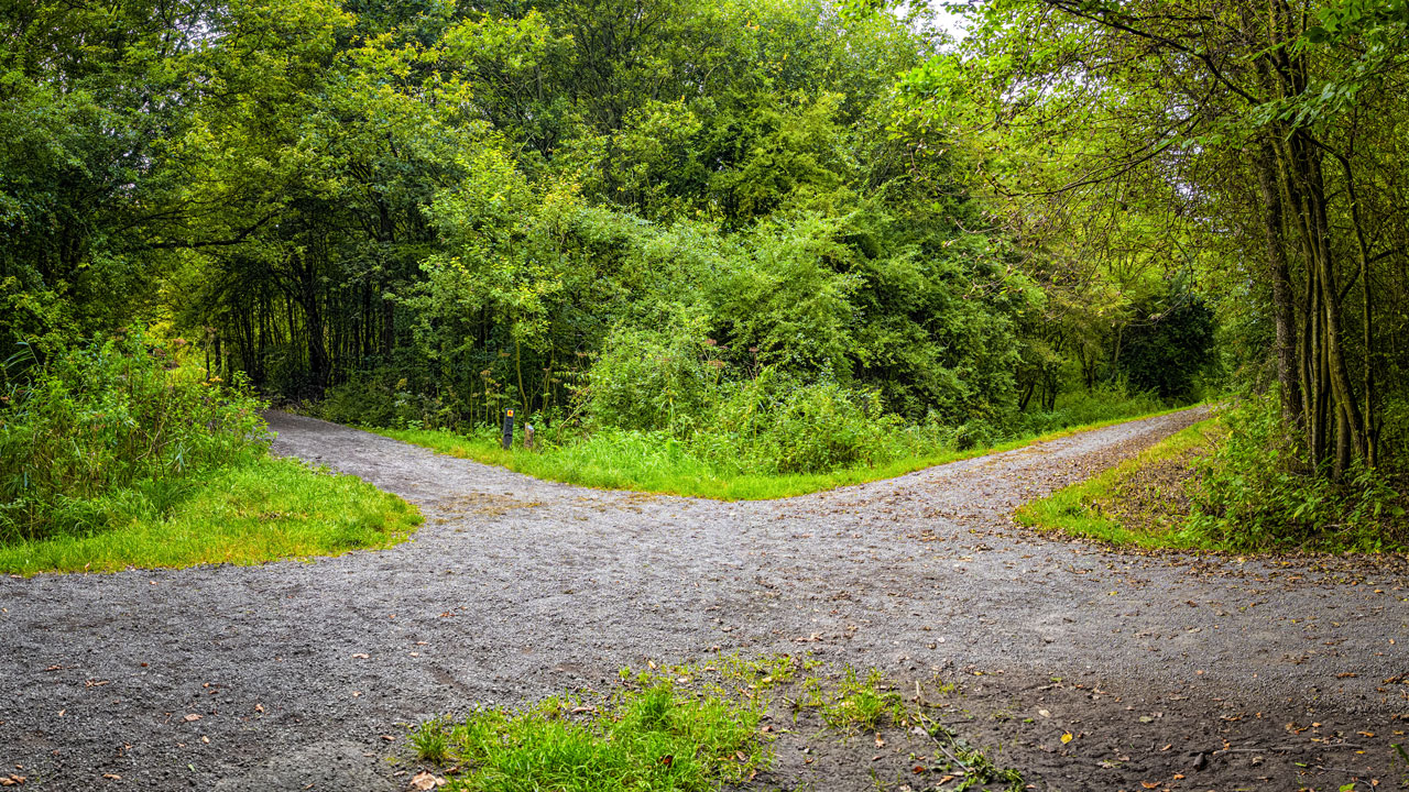 De balij natuurgebied