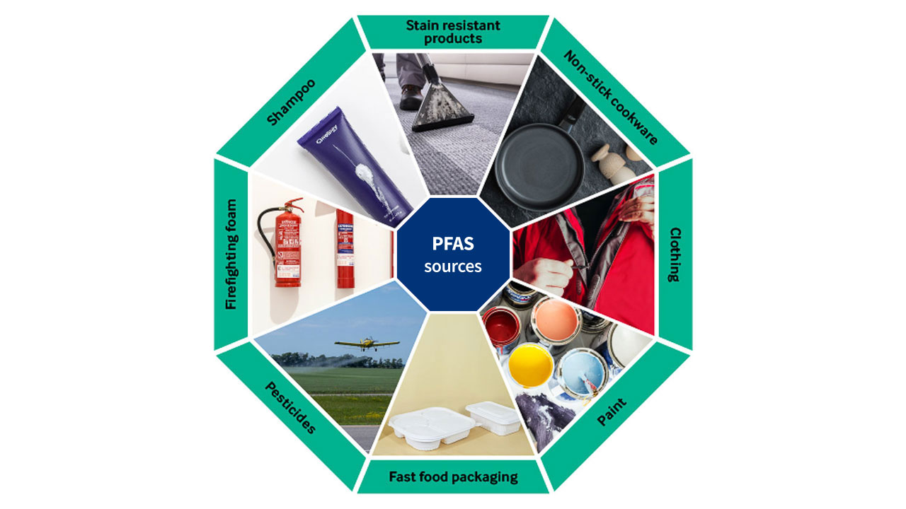 Diagram met een centraal zeshoekig blok "PFAS sources", omringd door acht categorieën: shampoo, kleding, verf, pesticiden, brandblusschuim, fastfoodverpakkingen, anti-aanbak kookgerei en vuilafstotende producten