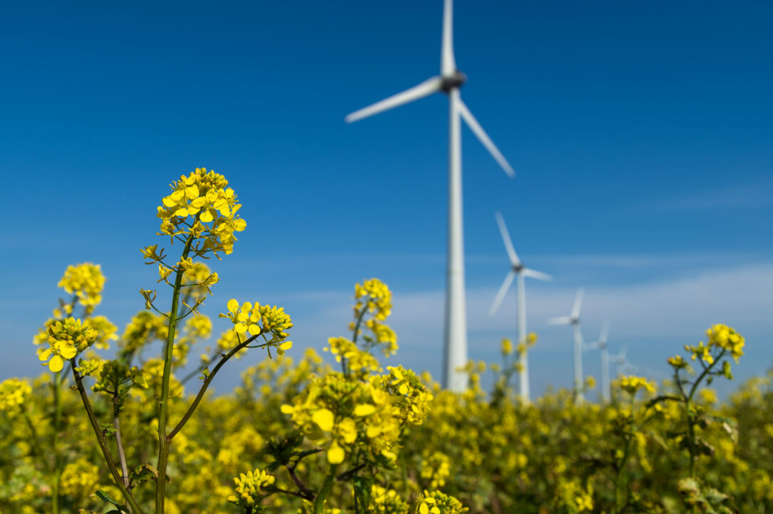 Windmolenpark in groene omgeving