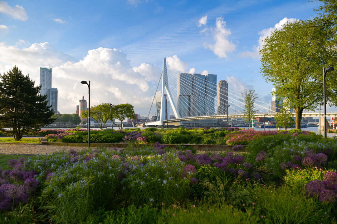 Modern gebouw met natuurlijke vormen in een groene omgeving