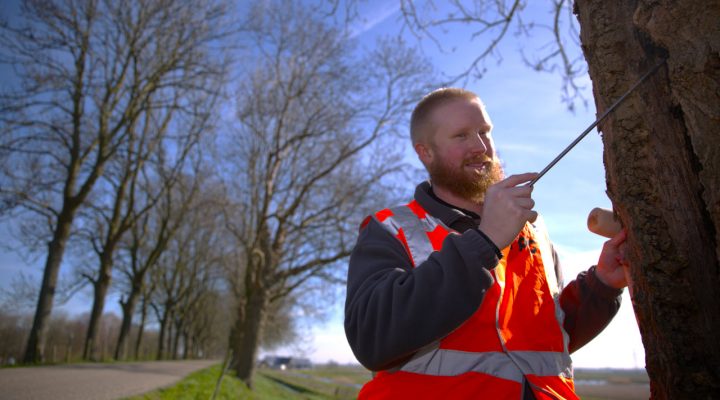 Ecologisch veldonderzoeker in oranje veiligheidsvest markeert boom langs weg – monitoring van flora en fauna in stedelijke en landelijke gebieden door Tetra Tech
